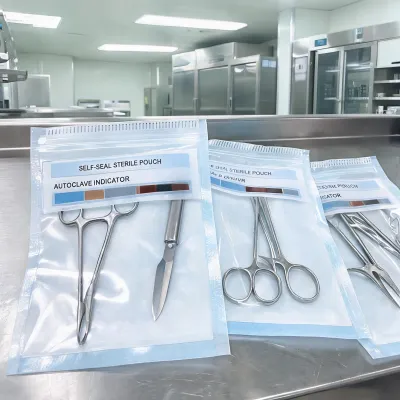 sterilization pouch